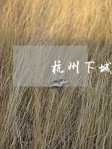 杭州下城区诉讼离婚律师价格 杭州下城区诉讼离婚律师价格