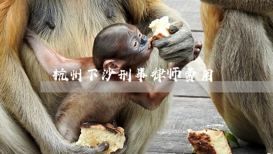 杭州下沙刑事律师费用 杭州下沙刑事律师费用