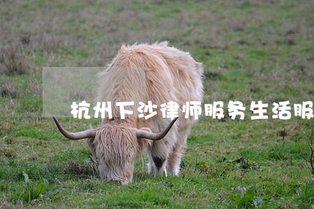 杭州下沙律师服务生活服务 杭州下沙律师服务生活服务