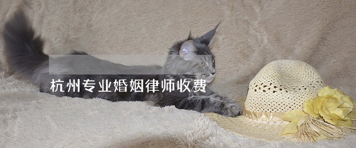 杭州专业婚姻律师收费 杭州专业婚姻律师收费
