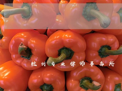 杭州专业律师事务所 杭州专业律师事务所