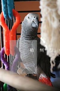 杭州专业法律顾问多少钱 杭州专业法律顾问多少钱