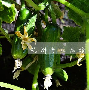 杭州专业离婚律师事务所 杭州专业离婚律师事务所