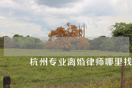 杭州专业离婚律师哪里找