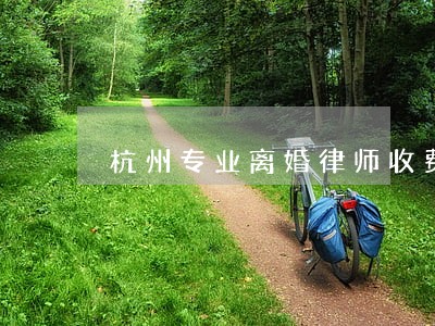 杭州专业离婚律师收费 杭州专业离婚律师收费