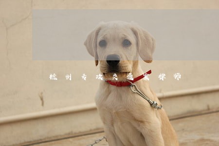 杭州专攻交通案律师 杭州专攻交通案律师