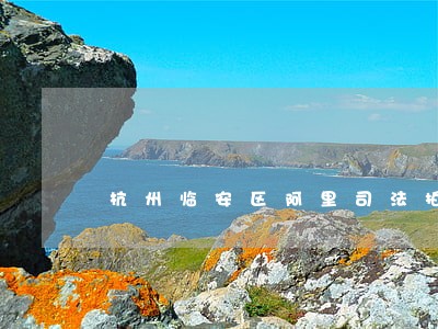 杭州临安区阿里司法拍卖的房产 杭州临安区阿里司法拍卖的房产