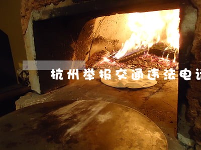 杭州举报交通违法电话 杭州举报交通违法电话