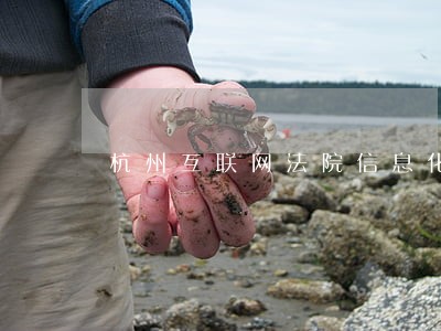杭州互联网法院信息化 杭州互联网法院信息化