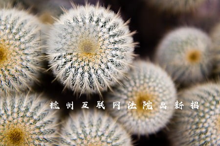 杭州互联网法院出新招 杭州互联网法院出新招