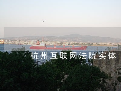 杭州互联网法院实体