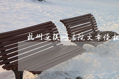 杭州互联网法院文章侵权案