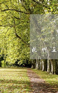 杭州互联网法院电话号码查询 杭州互联网法院电话号码查询