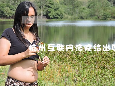 杭州互联网法院给出四要素 杭州互联网法院给出四要素