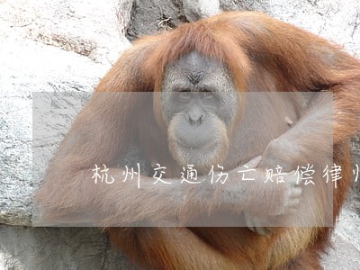 杭州交通伤亡赔偿律师团队