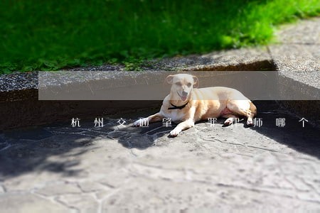 杭州交通肇事罪律师哪个好 杭州交通肇事罪律师哪个好