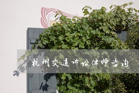 杭州交通诉讼律师咨询 杭州交通诉讼律师咨询