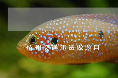 杭州交通违法做题目
