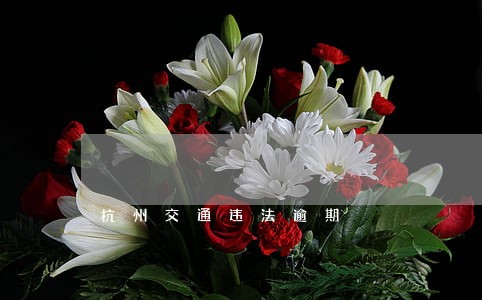 杭州交通违法逾期 杭州交通违法逾期