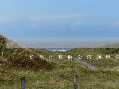 杭州产权诉讼咨询电话 杭州产权诉讼咨询电话