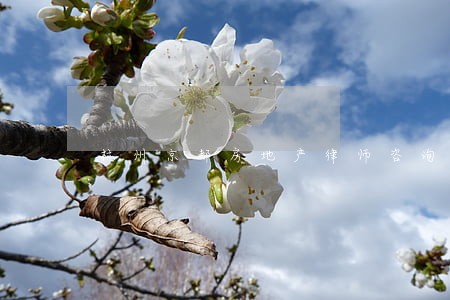 杭州京都房地产律师咨询 杭州京都房地产律师咨询