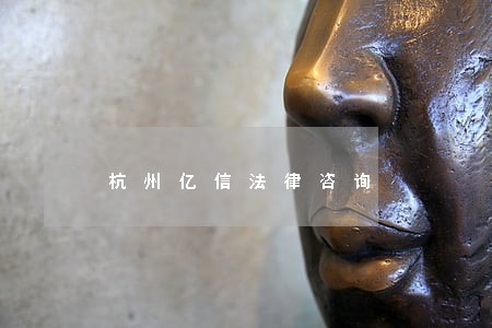 杭州亿信法律咨询 杭州亿信法律咨询