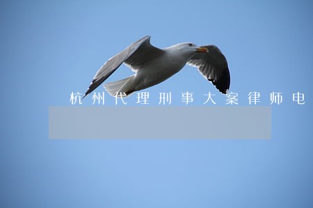 杭州代理刑事大案律师电话咨询