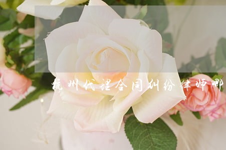 杭州代理合同纠纷律师哪个强 杭州代理合同纠纷律师哪个强