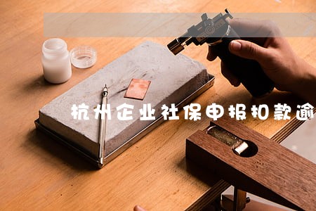 杭州企业社保申报扣款逾期
