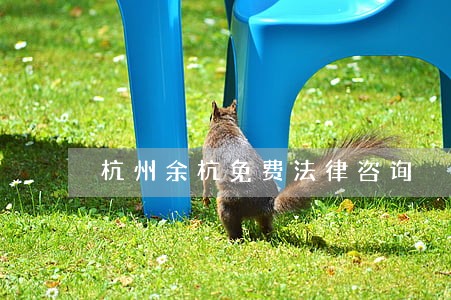 杭州余杭免费法律咨询 杭州余杭免费法律咨询