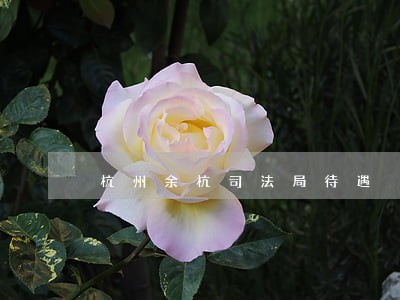 杭州余杭司法局待遇 杭州余杭司法局待遇