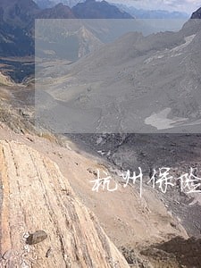 杭州保险纠纷律师排名 杭州保险纠纷律师排名