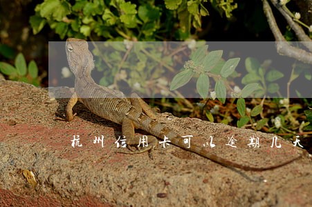 杭州信用卡可以逾期几天还 杭州信用卡可以逾期几天还