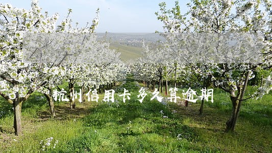 杭州信用卡多久算逾期
