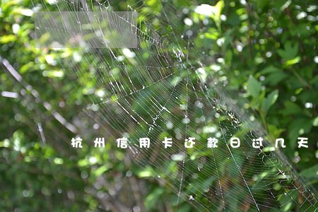 杭州信用卡还款日过几天算逾期 杭州信用卡还款日过几天算逾期