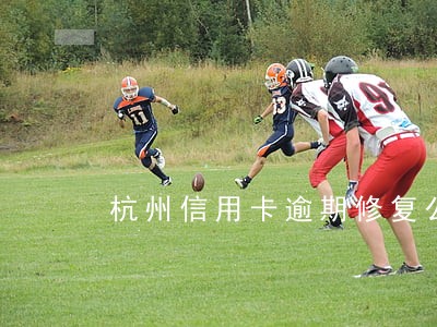 杭州信用卡逾期修复公司 杭州信用卡逾期修复公司