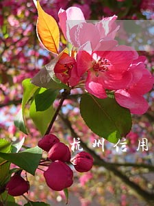 杭州信用卡逾期协商不成功怎么办 杭州信用卡逾期协商不成功怎么办