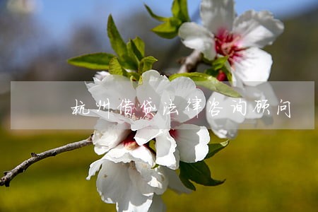 杭州借贷法律咨询顾问 杭州借贷法律咨询顾问