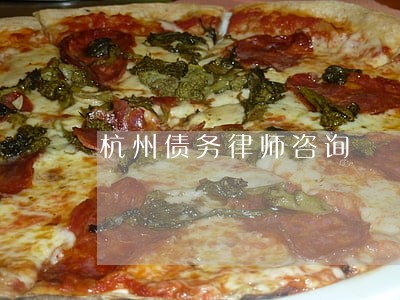 杭州债务律师咨询 杭州债务律师咨询