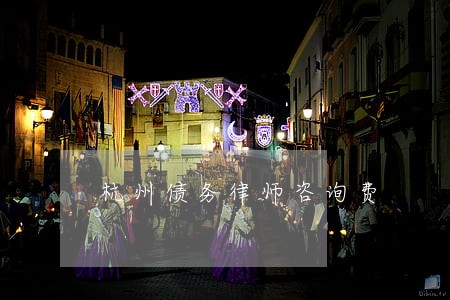杭州债务律师咨询费 杭州债务律师咨询费