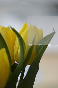 杭州债务纠纷律师公司电话 杭州债务纠纷律师公司电话