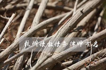 杭州债权债务律师有名 杭州债权债务律师有名