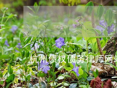杭州债权债务律师网站 杭州债权债务律师网站
