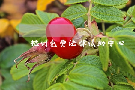 杭州免费法律援助中心 杭州免费法律援助中心