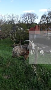 杭州公司债务律师详情咨询 杭州公司债务律师详情咨询