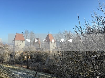 杭州公司注册 杭州公司注册