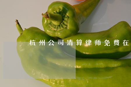 杭州公司清算律师免费在线咨询 杭州公司清算律师免费在线咨询