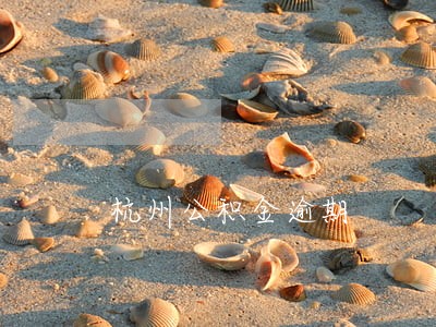 杭州公积金逾期 杭州公积金逾期