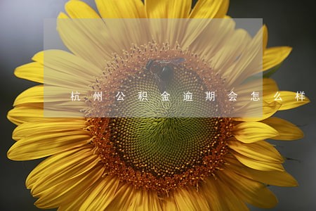 杭州公积金逾期会怎么样 杭州公积金逾期会怎么样