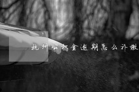 杭州公积金逾期怎么补缴